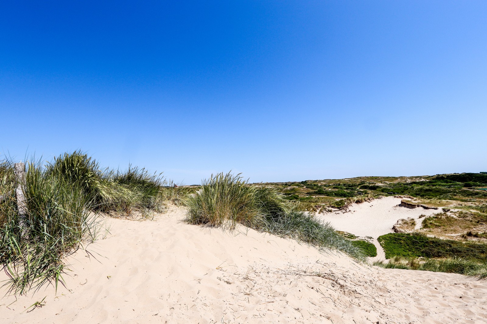 duinlandschap_zomer.jpg