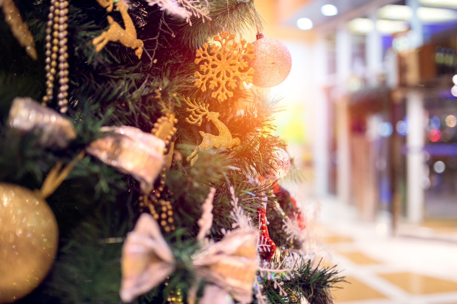 Zuiderduin kerst Egmond aan Zee 1